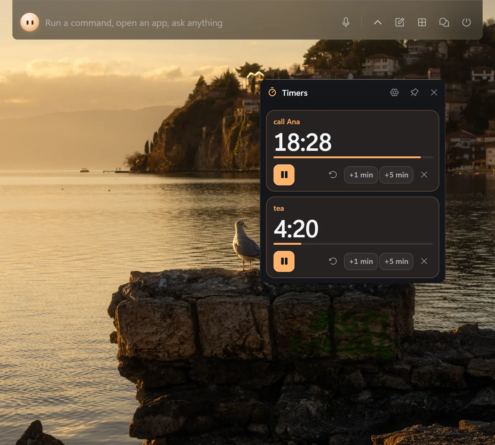 The Timers window on the desktop: two timers, call Ana and tea, each with pause, restart, plus 1 minute and plus 5 minutes.